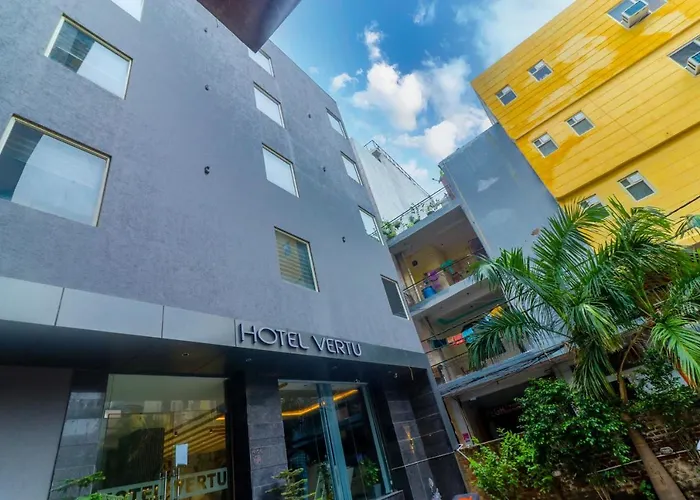 Hotel Vertu Nueva Delhi admite animales