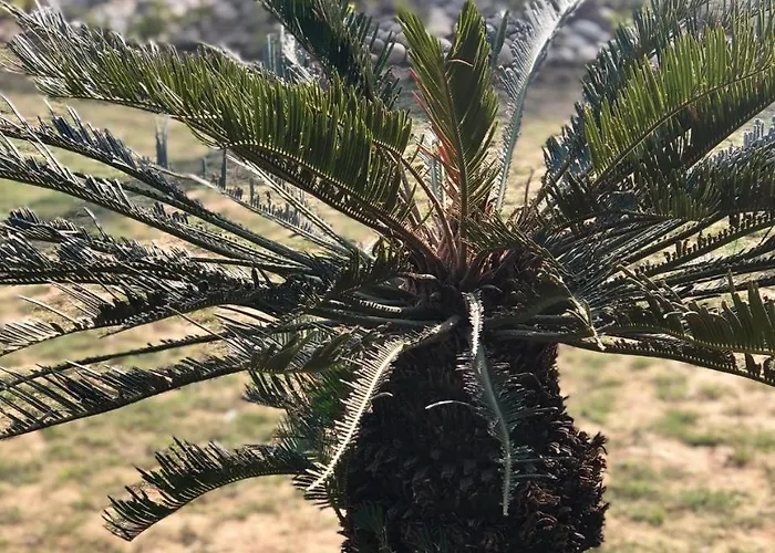 Villas Familiares en Nueva Delhi